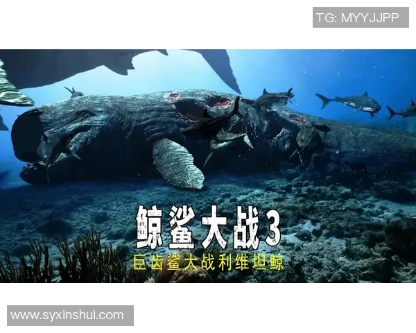 兰赫姆与桑德激战正酣谁能在这场对决中笑到最后