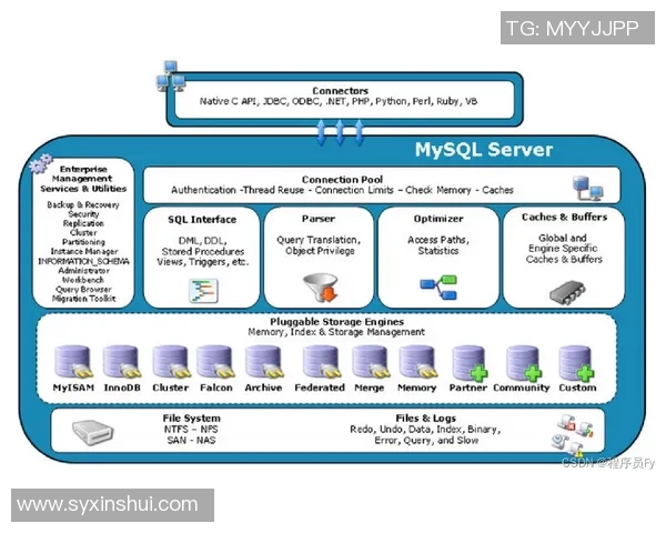 深入解析AM仿真与缩小抖动技术的全面教程与实用技巧分享