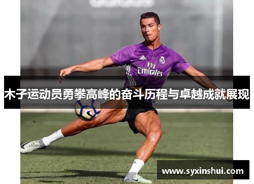木子运动员勇攀高峰的奋斗历程与卓越成就展现