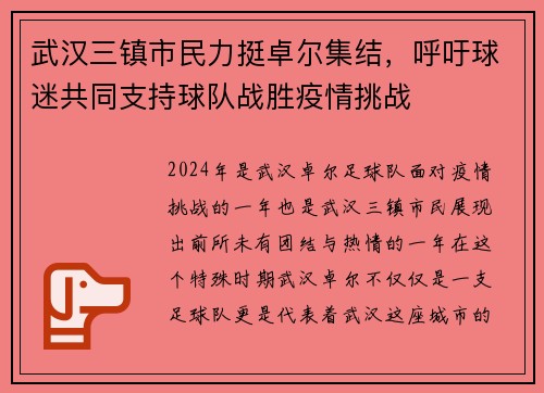 武汉三镇市民力挺卓尔集结，呼吁球迷共同支持球队战胜疫情挑战